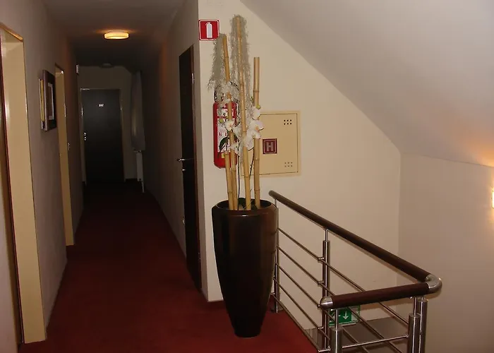 Janezic Любляна